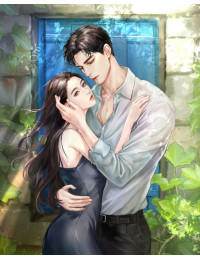 Một Lần Gặp Gỡ