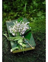 Bạn Đã Từng Yêu Thầm Ai Đó Rất Lâu Không?