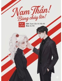 Xuyên Nhanh: Nam thần, bùng cháy đi!